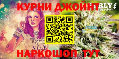apvp Пушкино