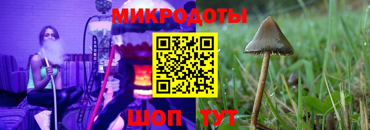 Галлюциногенные грибы Psilocybine cubensis Новомосковск